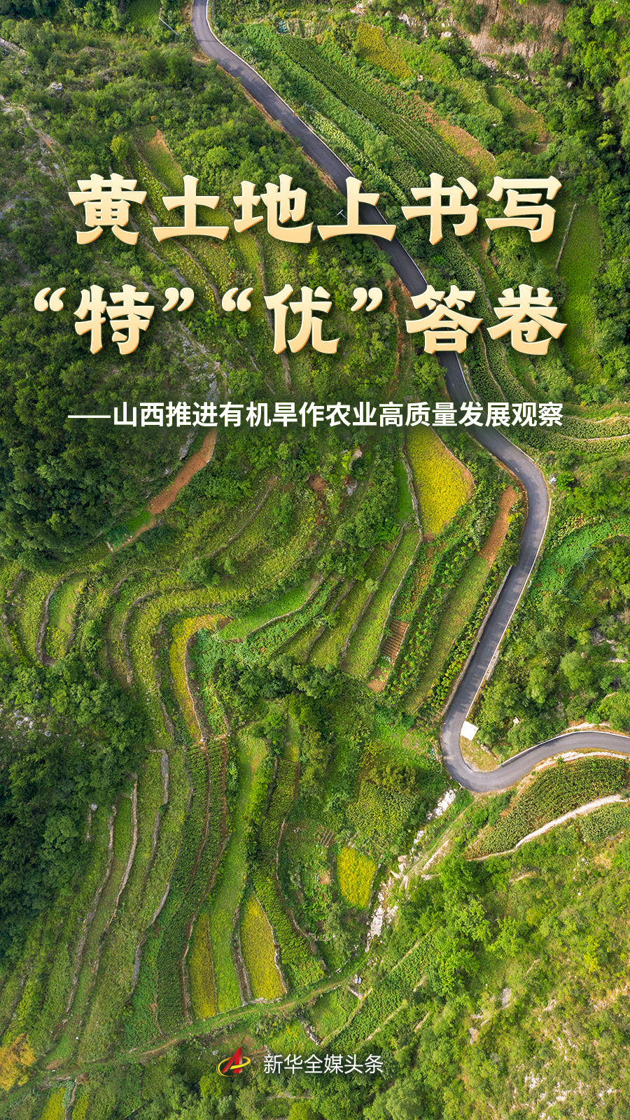 开云体育：深度洞悉赛事前沿 - 开云